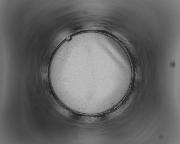 X0000102031273200808081803