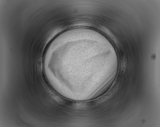 X0000102031274200808081803