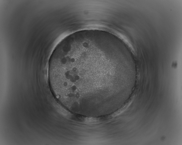 X0000102031275200808081803