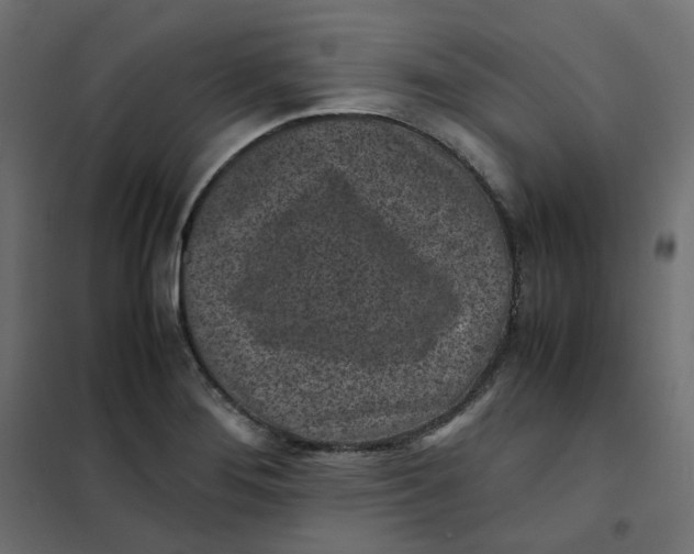 X0000102031276200808081803