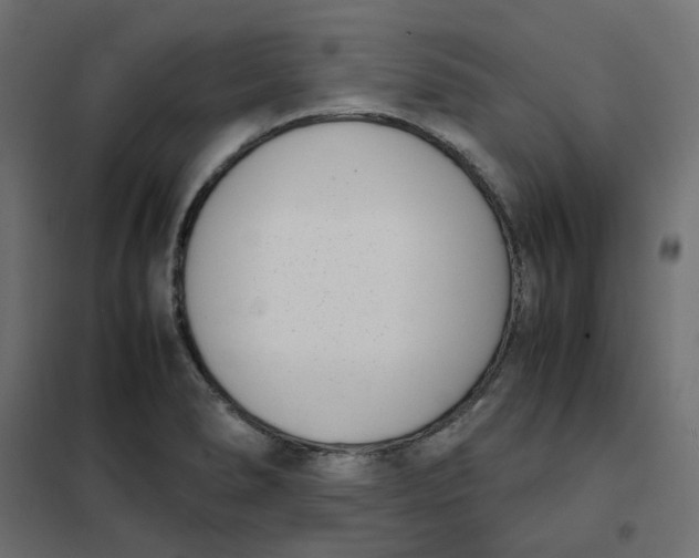 X0000102031278200808081803