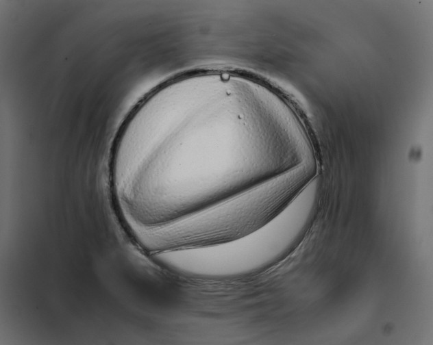 X0000102031279200808081803