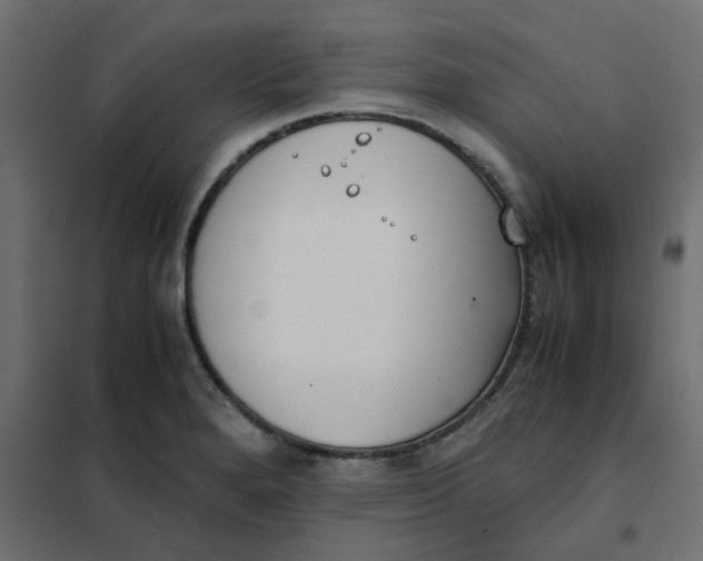 X0000102031280200808081803