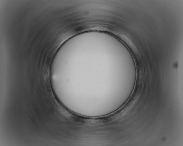 X0000102031281200808081803