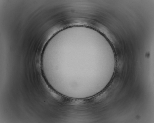 X0000102031282200808081803