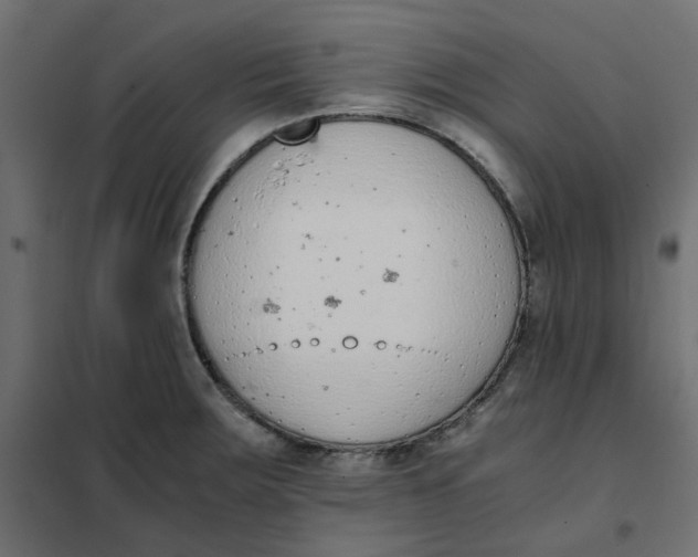 X0000102031283200808081803