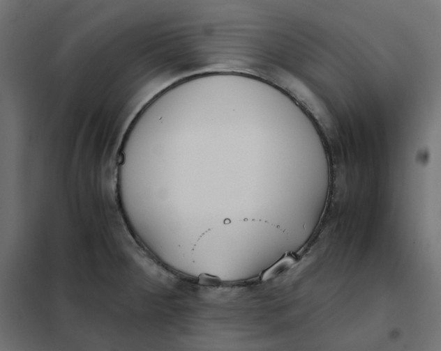 X0000102031284200808081803