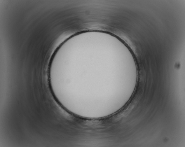 X0000102031285200808081803