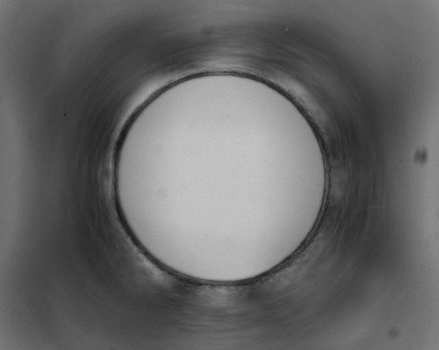 X0000102031286200808081803