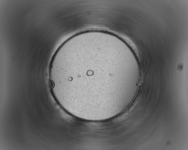 X0000102031287200808081803