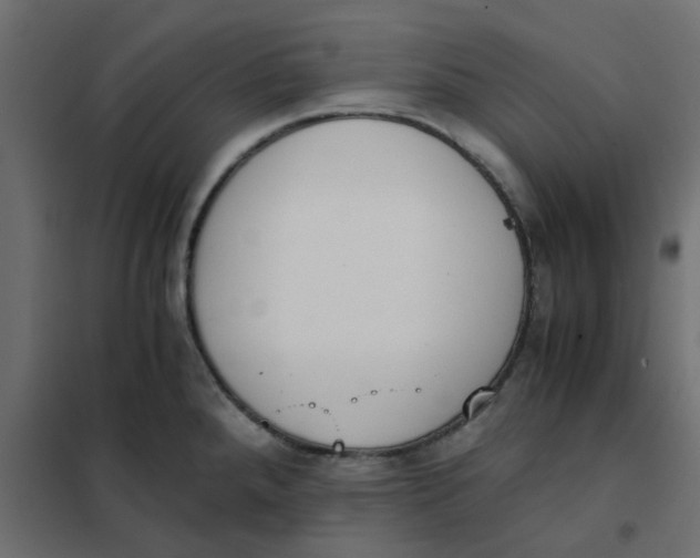 X0000102031288200808081803