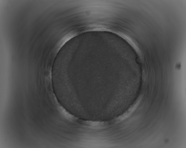 X0000102031289200808081803