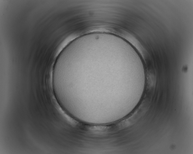 X0000102031290200808081803