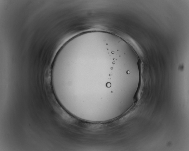 X0000102031292200808081803