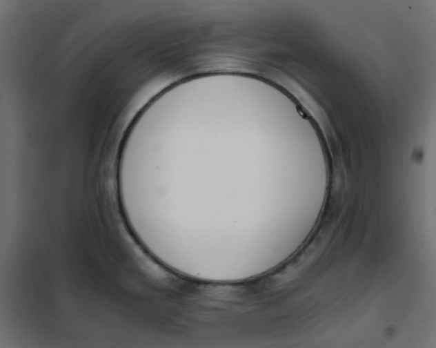 X0000102031293200808081803