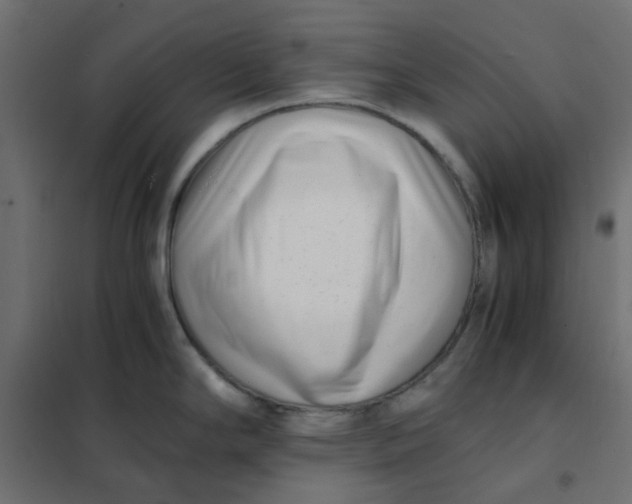 X0000102031294200808081803