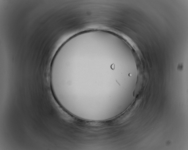 X0000102031295200808081803