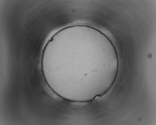 X0000102031296200808081803