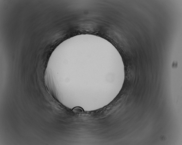 X0000102031297200808081802