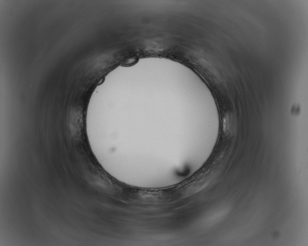 X0000102031299200808081802