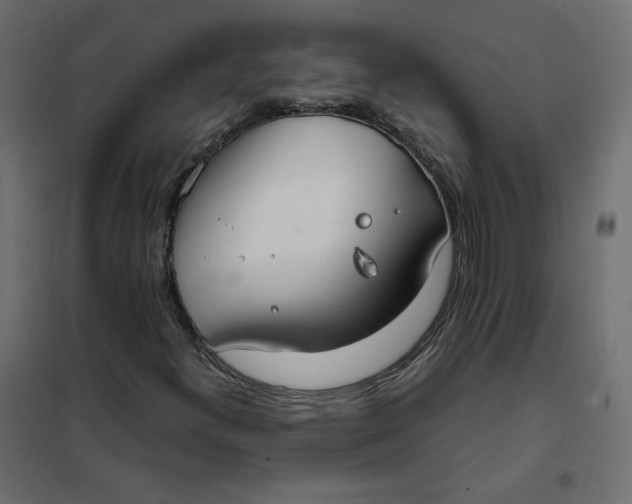 X0000102031300200808081802