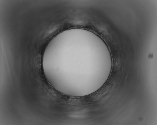 X0000102031301200808081802