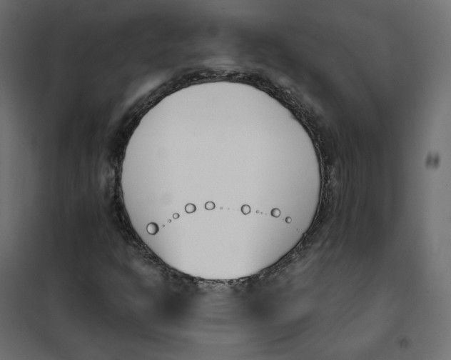 X0000102031302200808081802