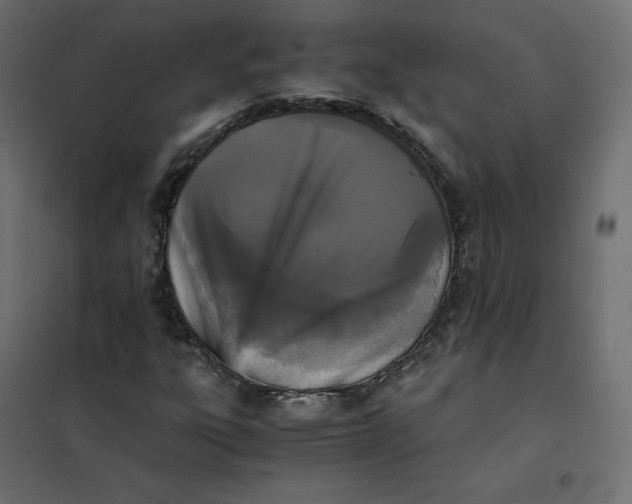 X0000102031303200808081802