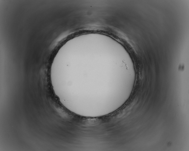 X0000102031304200808081802