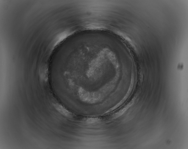 X0000102031306200808081802