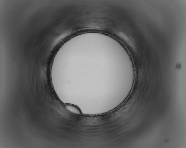 X0000102031307200808081802