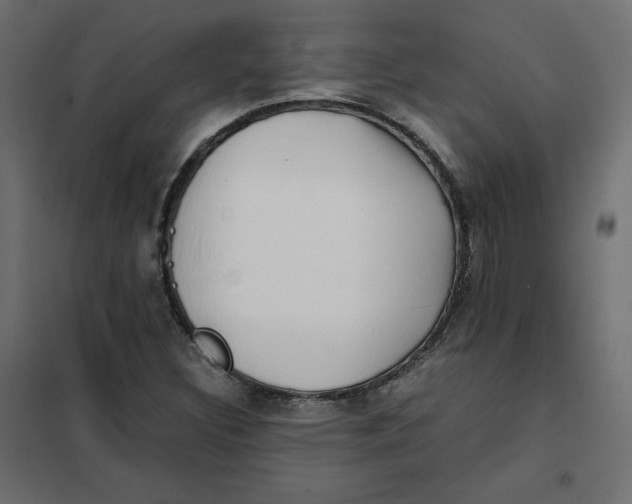 X0000102031308200808081802