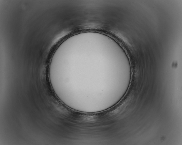 X0000102031309200808081802