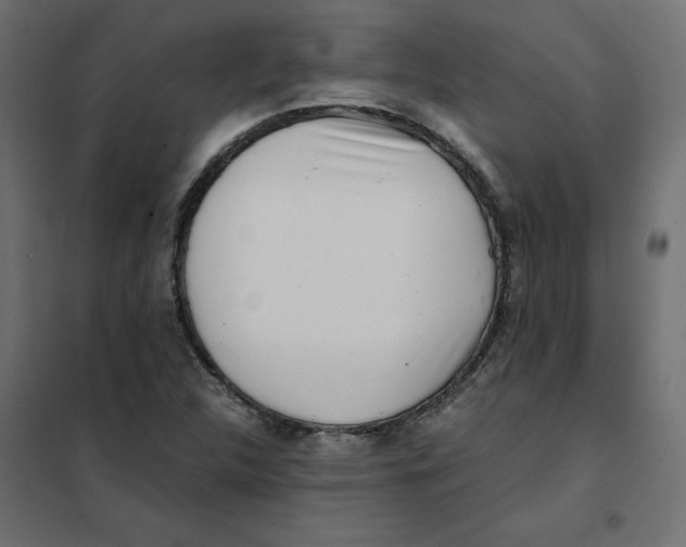 X0000102031312200808081803