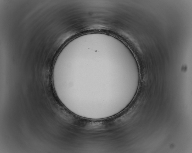 X0000102031313200808081803