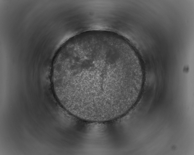 X0000102031314200808081803