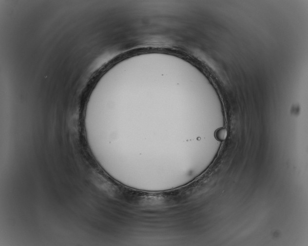 X0000102031315200808081803