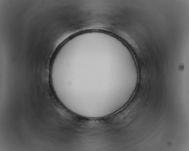 X0000102031316200808081803