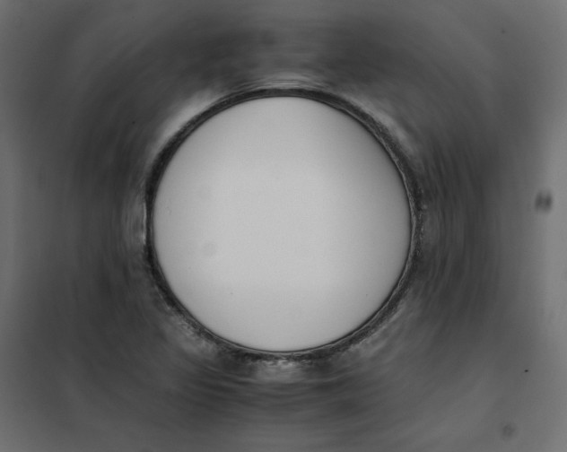 X0000102031317200808081803