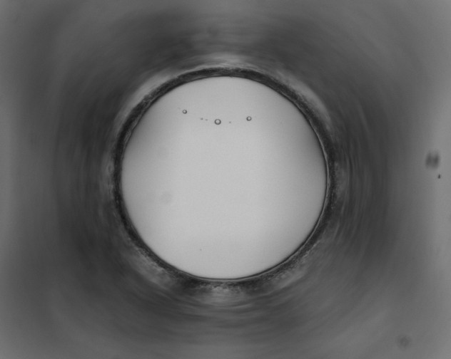 X0000102031318200808081803