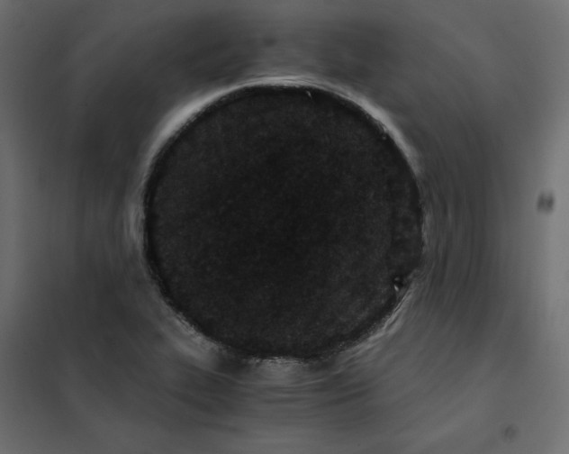 X0000102031319200808081803