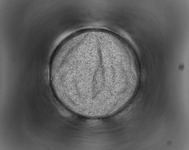 X0000102031320200808081803