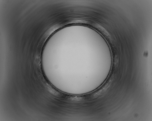 X0000102031321200808081803