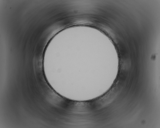 X0000102031322200808081803