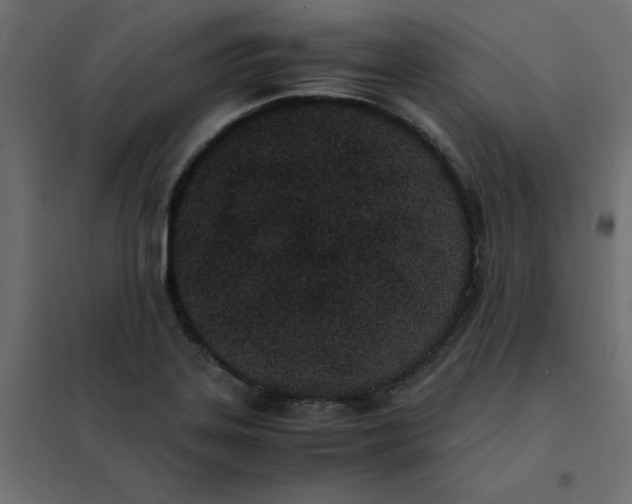 X0000102031323200808081803