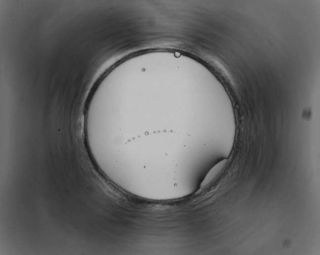 X0000102031324200808081803