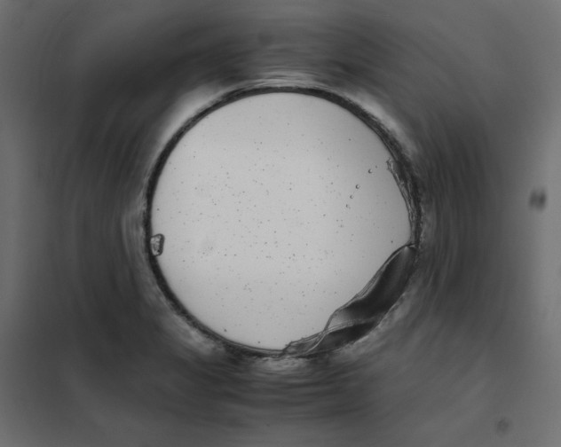 X0000102031325200808081803