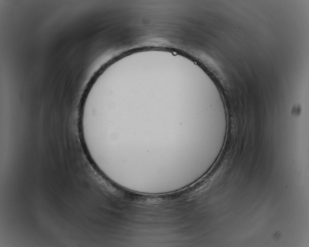 X0000102031326200808081803