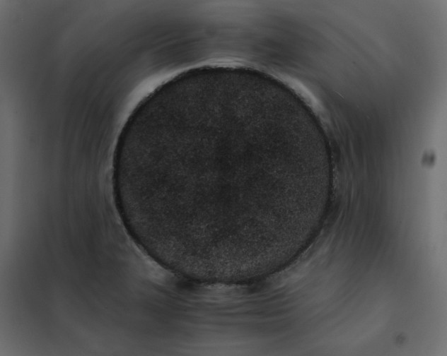 X0000102031327200808081803