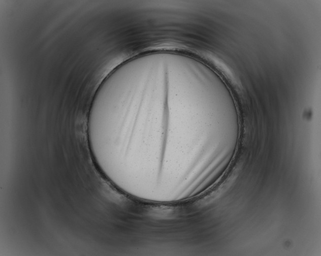 X0000102031329200808081803